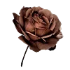 Стикер 13 Beige Brown