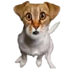 🐱 Эмодзи «belle the dog» для Telegram