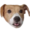 😛 Эмодзи «belle the dog» для Telegram