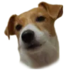 😕 Эмодзи «belle the dog» для Telegram