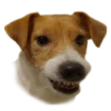 😈 Эмодзи «belle the dog» для Telegram