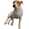 😐 Эмодзи «belle the dog» для Telegram