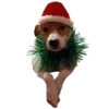 🎅 Эмодзи «belle the dog» для Telegram