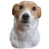 🙂 Эмодзи «belle the dog» для Telegram