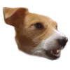 😁 Эмодзи «belle the dog» для Telegram