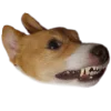 😁 Эмодзи «belle the dog» для Telegram