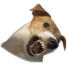 😡 Эмодзи «belle the dog» для Telegram