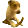 😏 Эмодзи «belle the dog» для Telegram