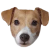 😐 Эмодзи «belle the dog» для Telegram