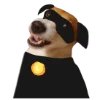🐈‍⬛️ Эмодзи «belle the dog» для Telegram