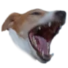 😫 Эмодзи «belle the dog» для Telegram