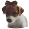 🐶 Эмодзи «belle the dog» для Telegram