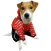 🐞 Эмодзи «belle the dog» для Telegram