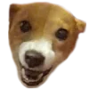 😠 Эмодзи «belle the dog» для Telegram