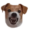 😡 Эмодзи «belle the dog» для Telegram