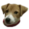 🙂 Эмодзи «belle the dog» для Telegram