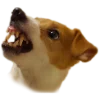 😠 Эмодзи «belle the dog» для Telegram