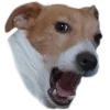 😱 Эмодзи «belle the dog» для Telegram