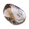 Стикер 46 Bluminary