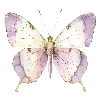 Стикер 21 Bluminary