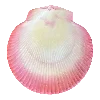 Стикер 13 Bluminary