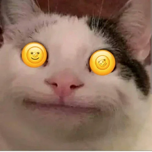🤪 Стикер «Beluga» для Telegram