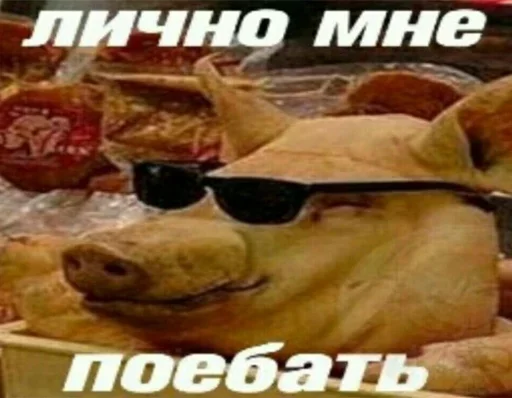 🤙 Стикер «Stupid Stickers» для Telegram