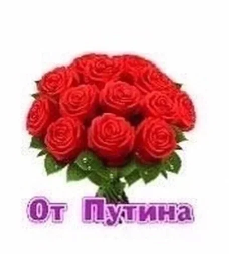 ☘️ Стикер «Stupid Stickers» для Telegram