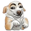 🐶 Эмодзи «DXAY&BelyaR4» для Telegram