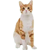 🐈‍⬛ Эмодзи «DXAY&BelyaR4» для Telegram
