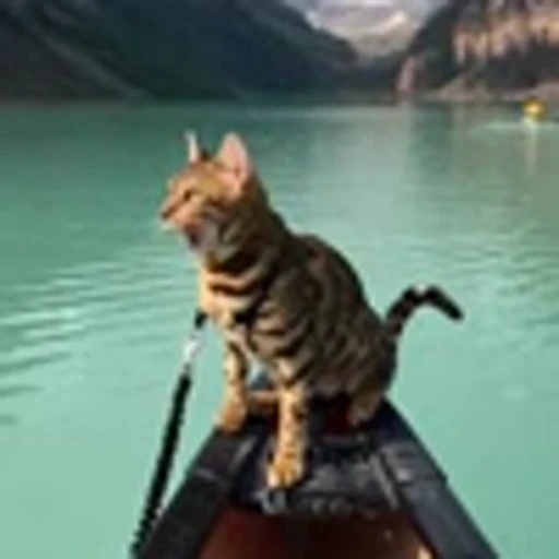 🤩 Эмодзи «Бенгальские котики» для Telegram