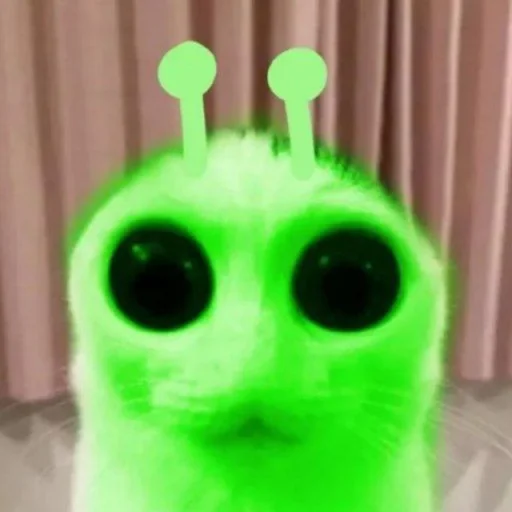😺 Стикер «bentley» для Telegram