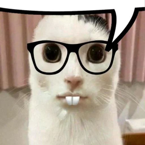 😺 Стикер «bentley» для Telegram