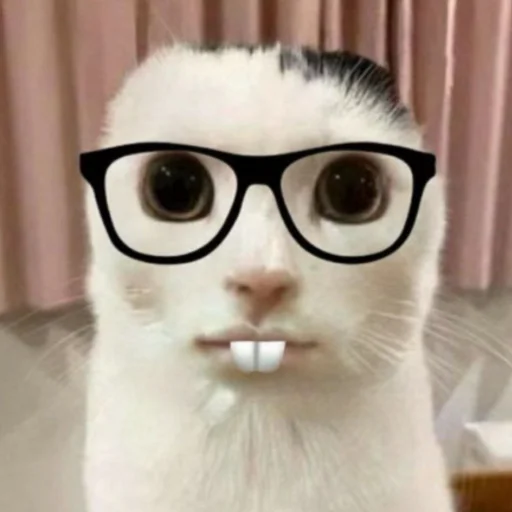 😺 Стикер «bentley» для Telegram
