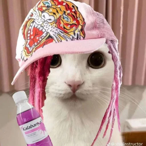 😺 Стикер «bentley» для Telegram