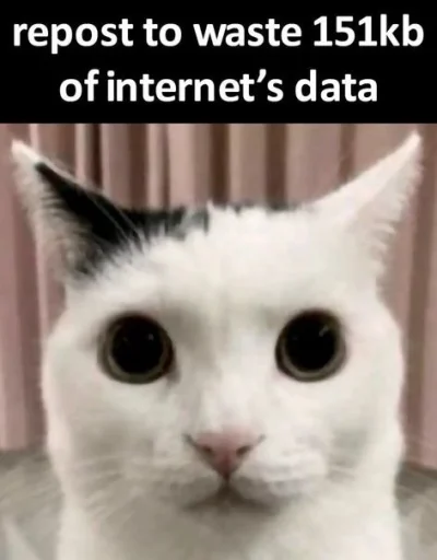 😺 Стикер «bentley» для Telegram