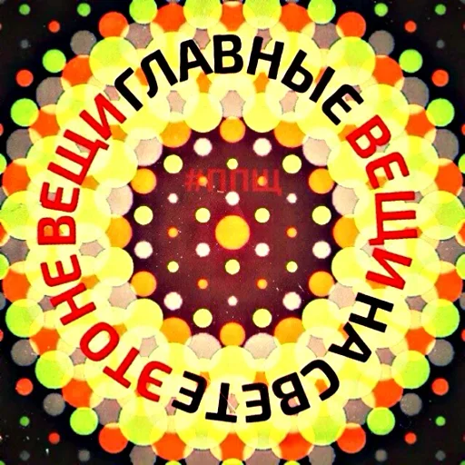 🤭 Стикер «Береги своего кота» для Telegram