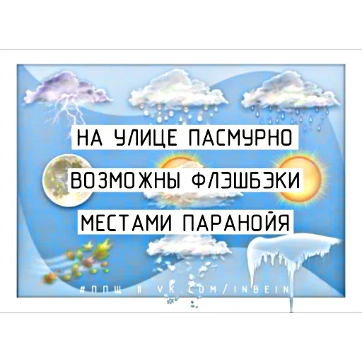 🥴 Стикер «Береги своего кота» для Telegram