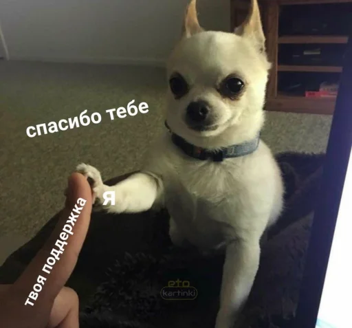😍 Стикер «BermanMafia» для Telegram