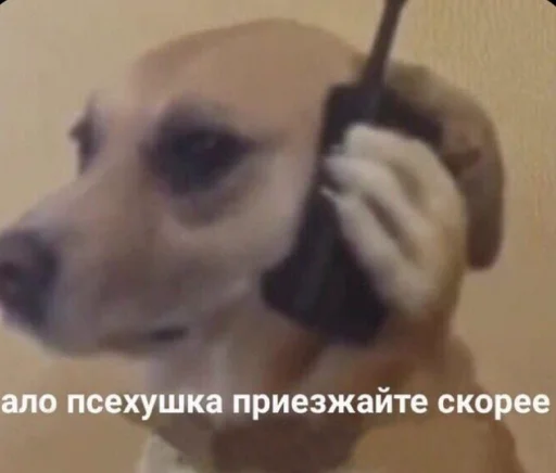 😁 Стикер «BermanMafia» для Telegram