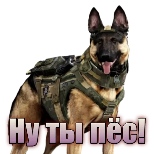 🐕 Стикер «Call of Duty MOBILE» для Telegram