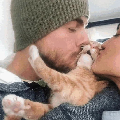 😘 Стикер «Funny Cats» для Telegram