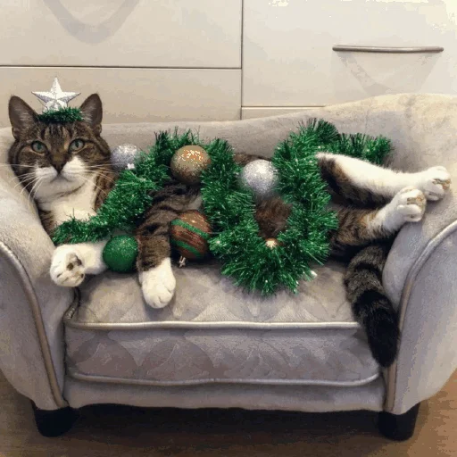 🎄 Стикер «Funny Cats» для Telegram