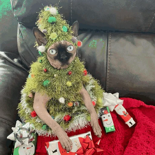 🎄 Стикер «Funny Cats» для Telegram