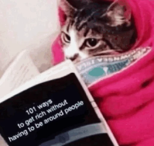 📚 Стикер «Funny Cats» для Telegram