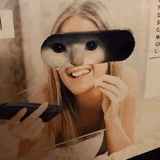 😬 Стикер «Funny Cats» для Telegram