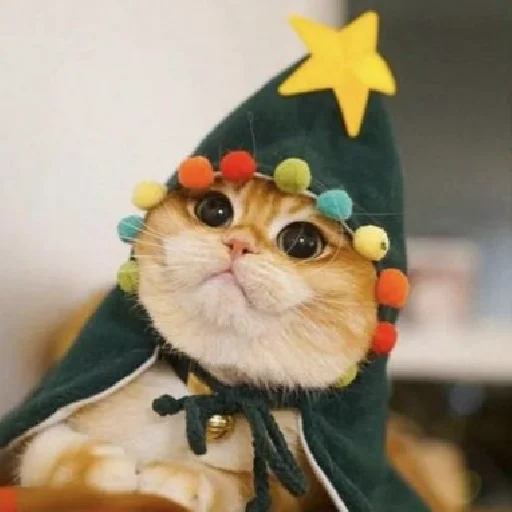 🎄 Стикер «Funny Cats» для Telegram