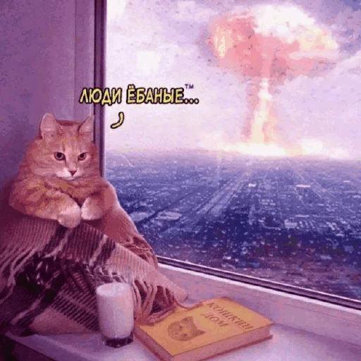 😡 Стикер «Funny Cats» для Telegram