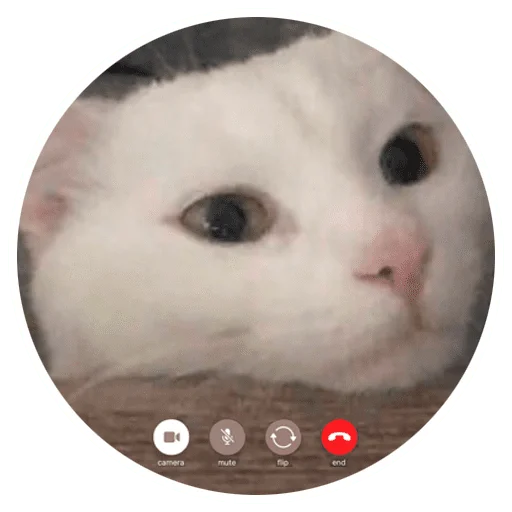 📲 Стикер «Бети 3» для Telegram