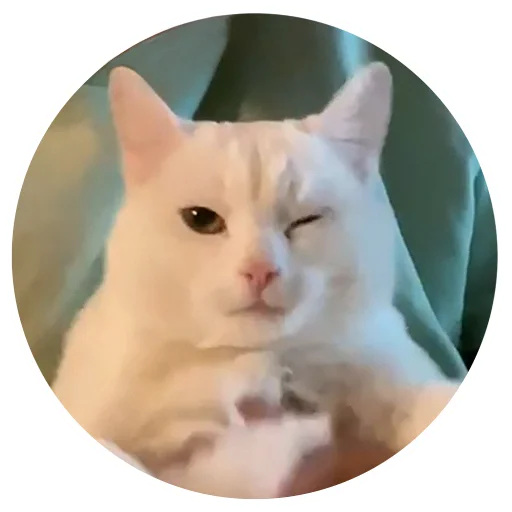 😉 Стикер «Бети 3» для Telegram